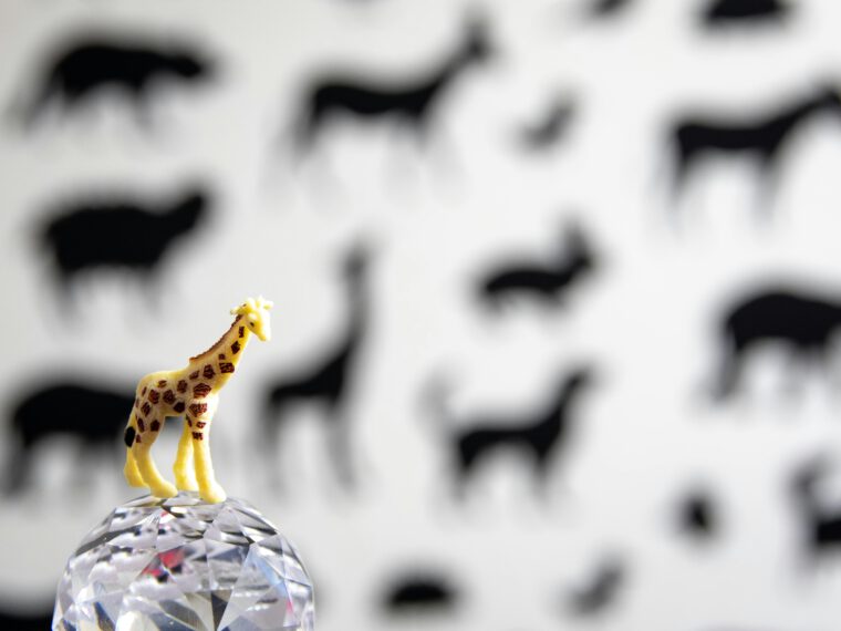 Babykamer Giraffe